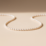 BABETTE - PAREL KETTING